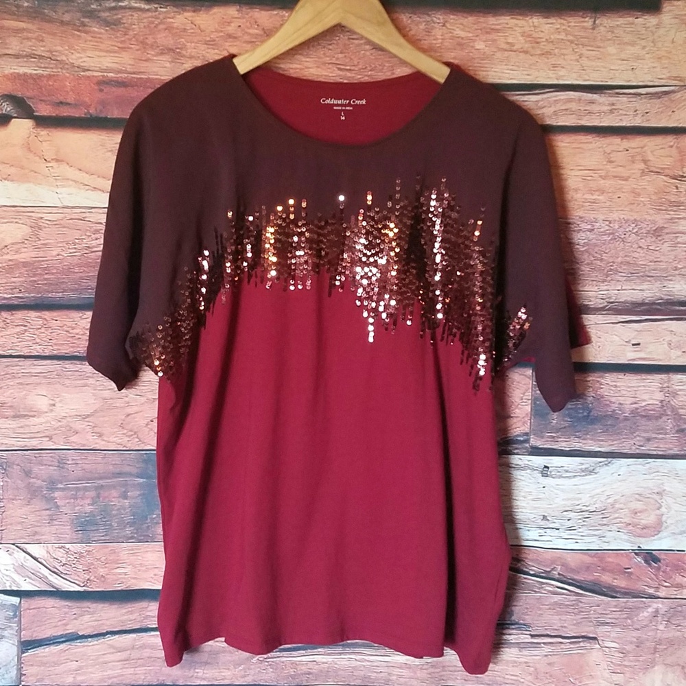 Cold water Creek Sequin Top